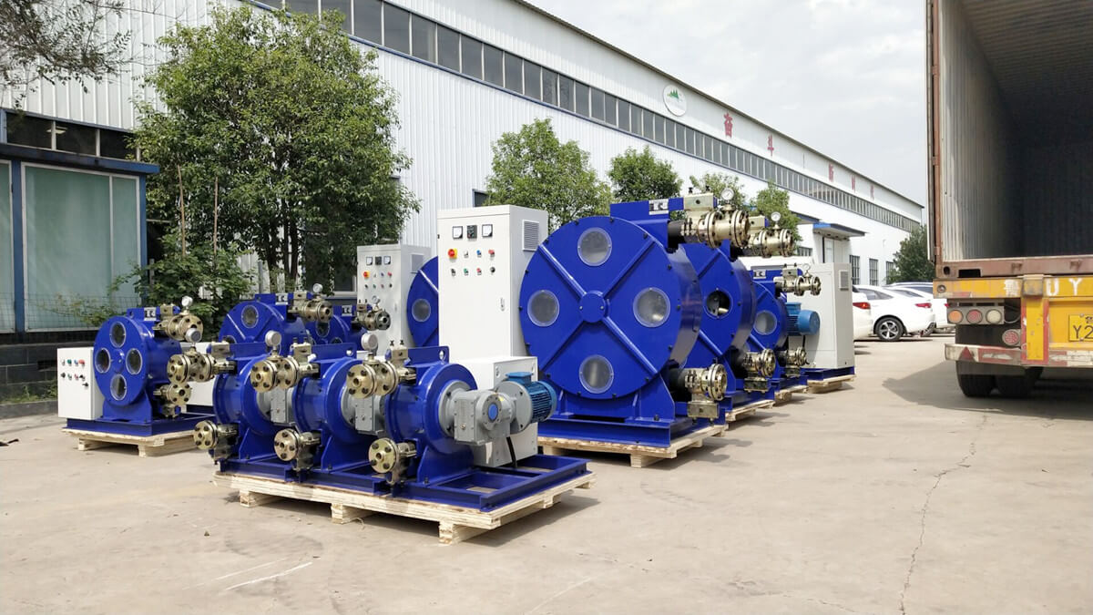 peristaltic hose pump for sale