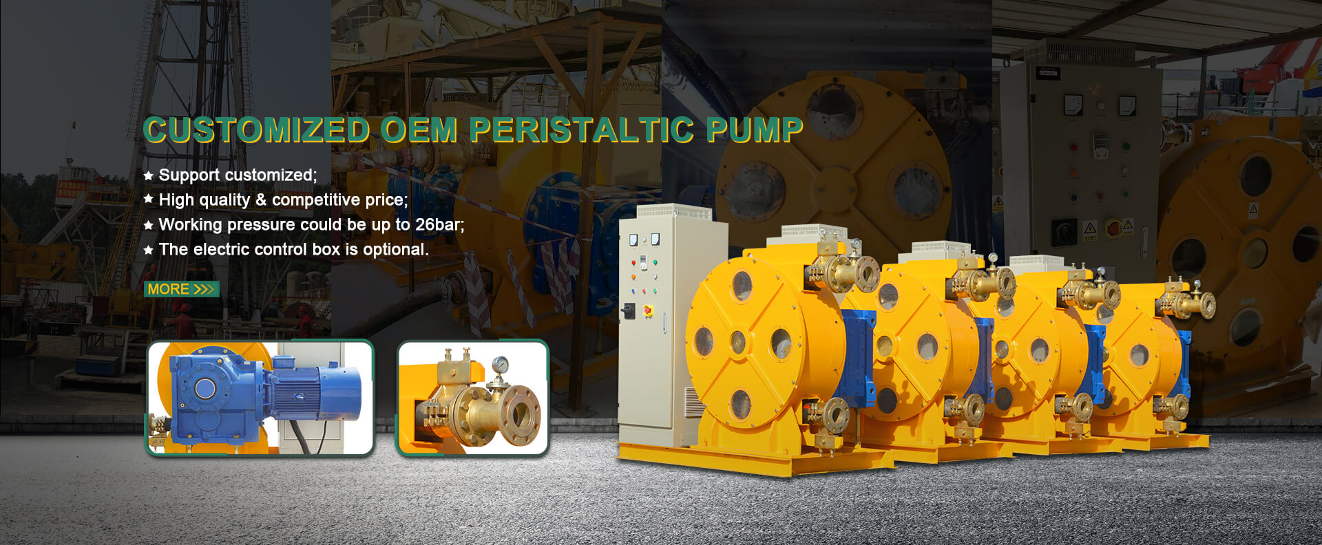 customized oem peristaltic pump