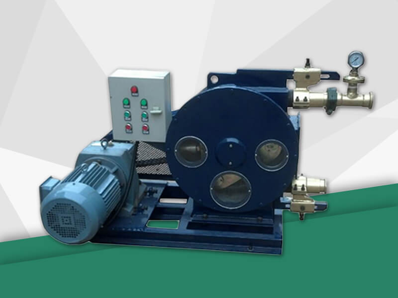 peristaltic pump for food process